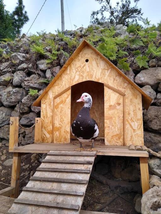 Los Huertos Conect With The Nature & Relax Icod De Los Vinos Exterior photo