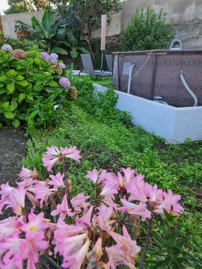 Los Huertos Conect With The Nature & Relax Icod De Los Vinos Exterior photo